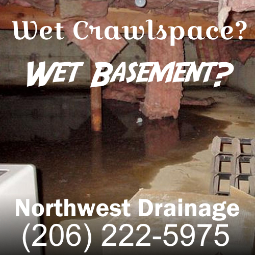 wet basement, wet crawlspace services in Seattle, Tacoma and Everett